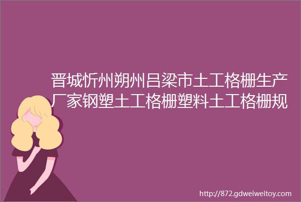 晋城忻州朔州吕梁市土工格栅生产厂家钢塑土工格栅塑料土工格栅规格全